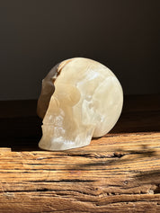 Amber Onyx Skull