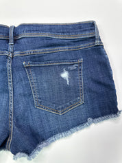 Hollister | NWT Denim Shorts | 32