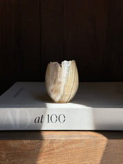 Tulip Candle Holder
