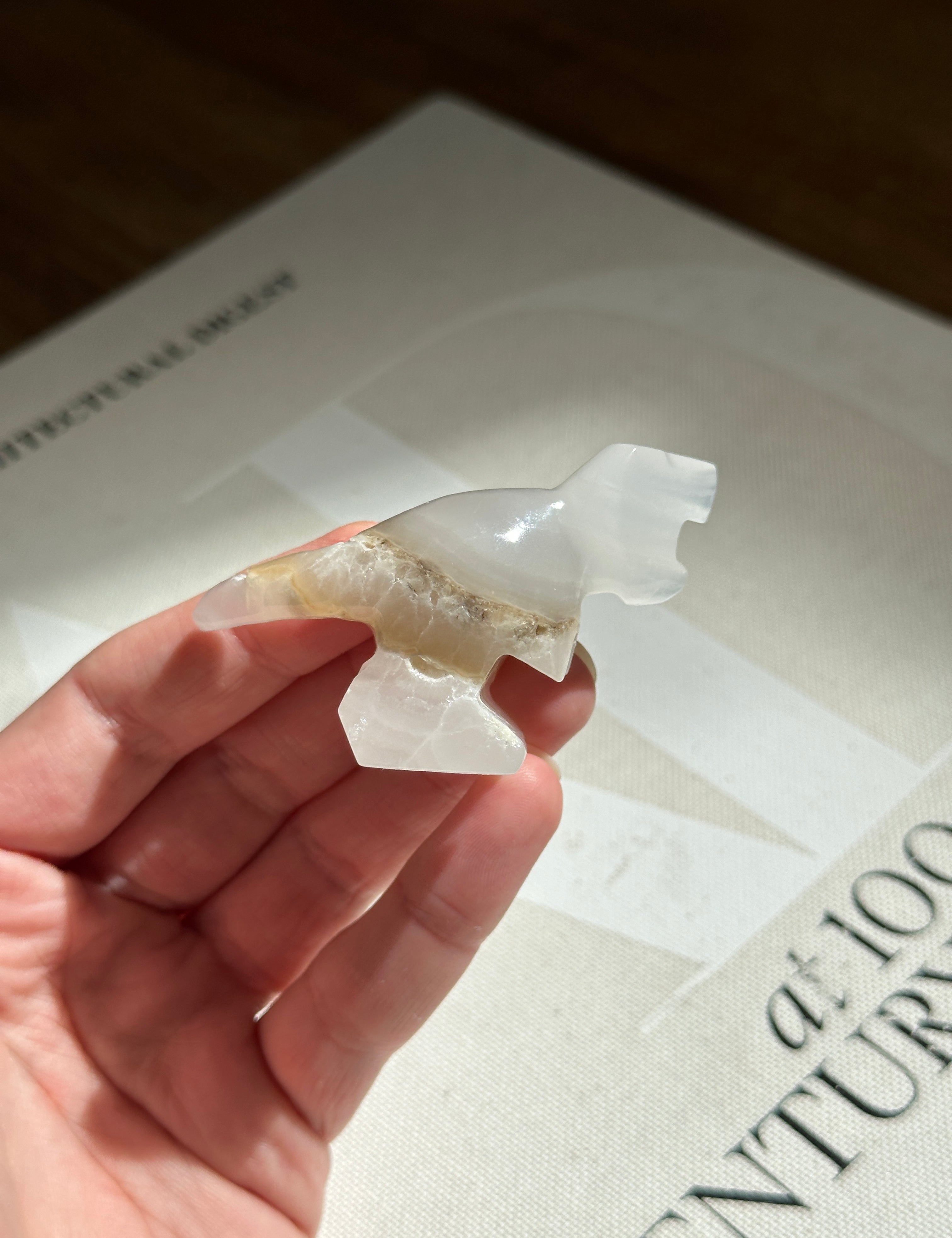 Tyrannosaurus Rex Small Dinosaur White Onyx