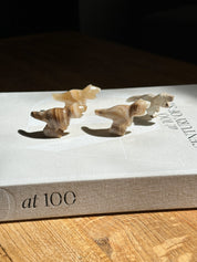 Tyrannosaurus rex Small Dinosaur Amber Onyx