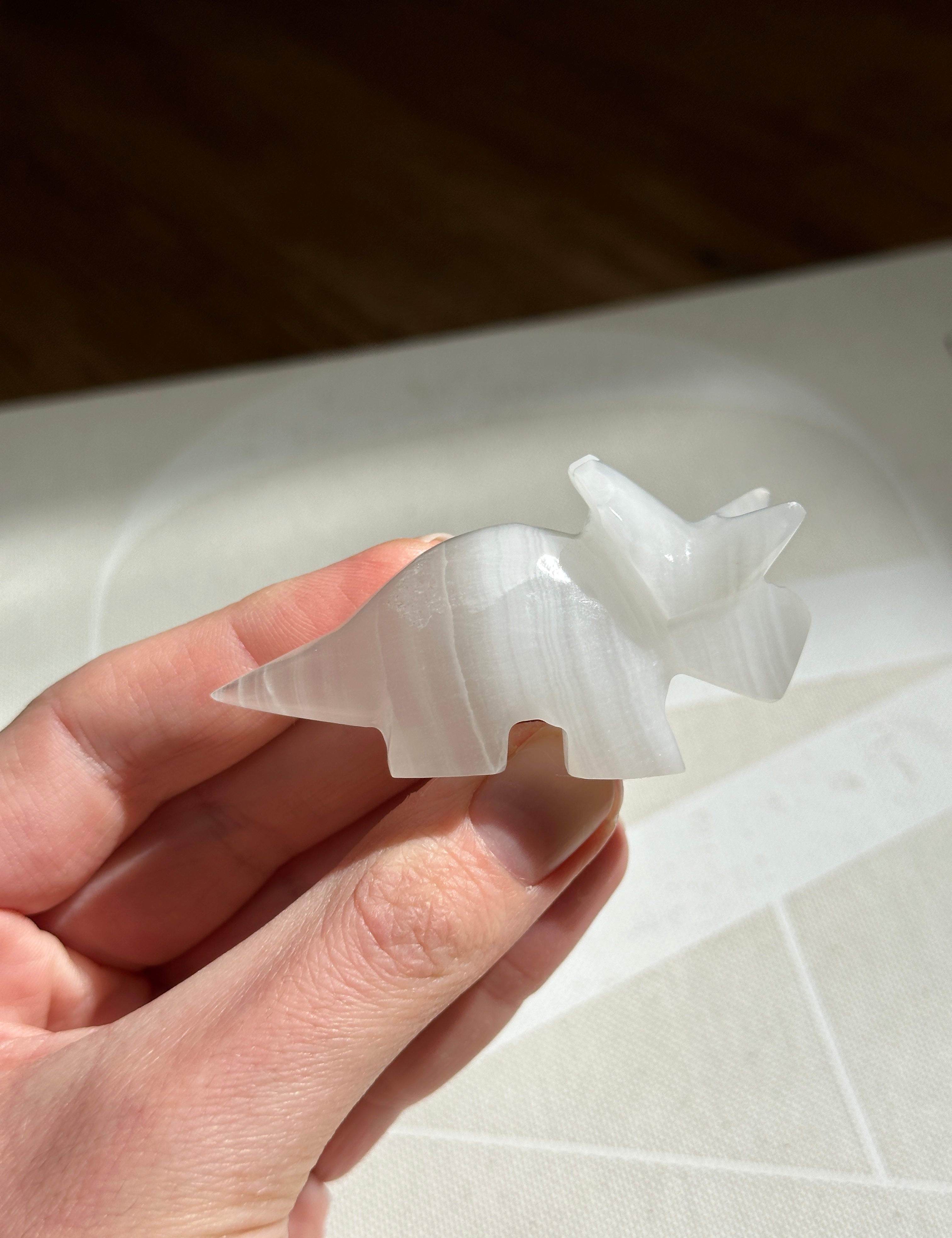 Triceratops Small Dinosaur White Onyx