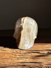 Amber Onyx Skull