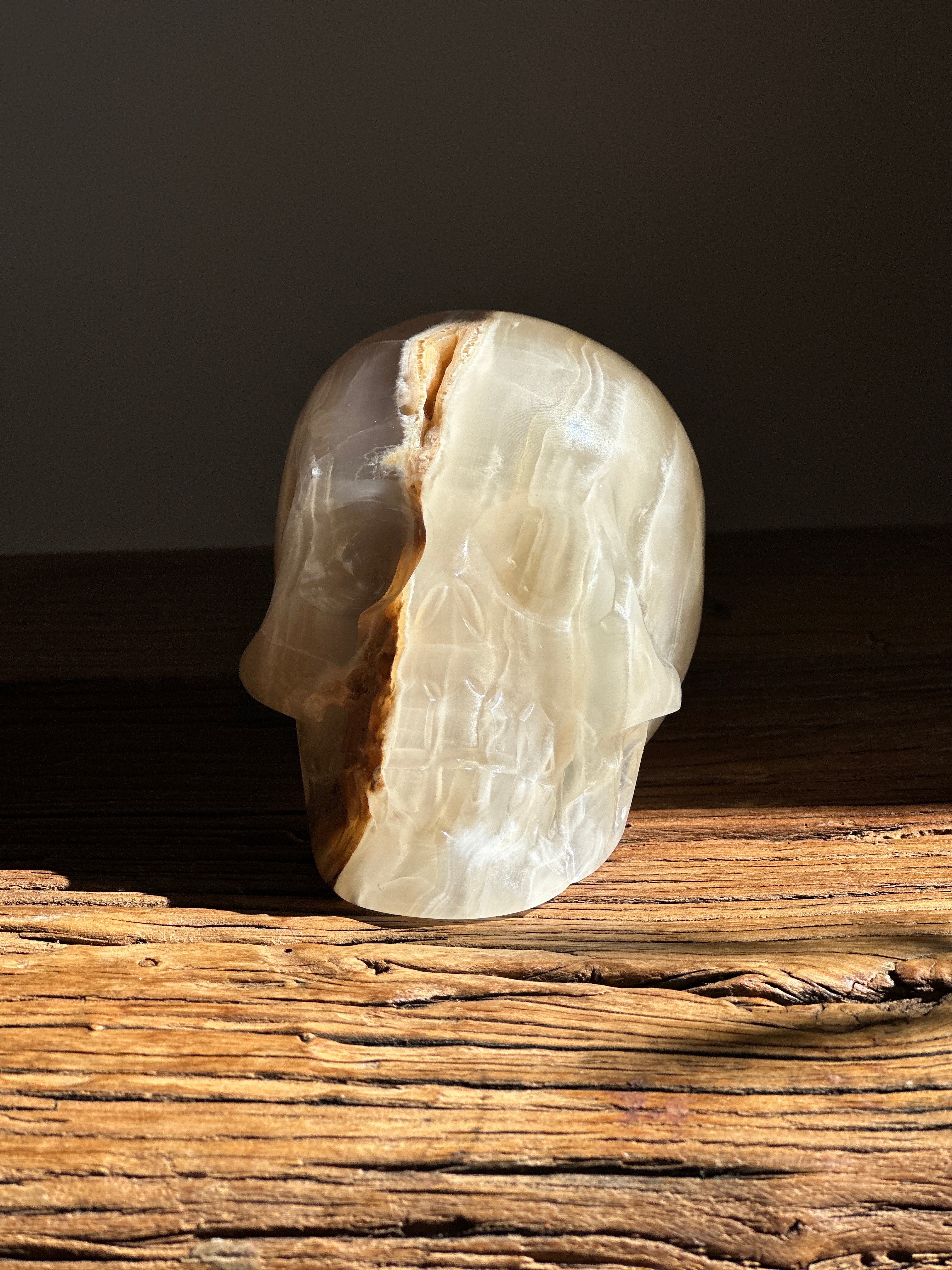 Amber Onyx Skull