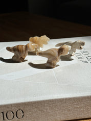 Tyrannosaurus rex Small Dinosaur Amber Onyx
