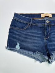Hollister | NWT Denim Shorts | 32