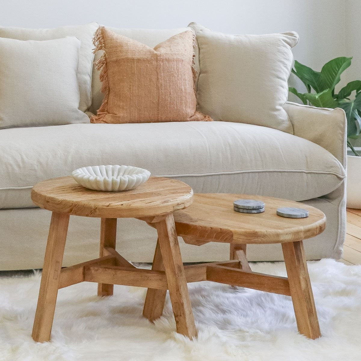 Olive Medium Elm Coffee Table - Pre-order