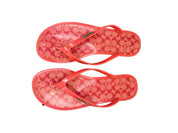 COACH | Coral Lyra Sandals | US 8