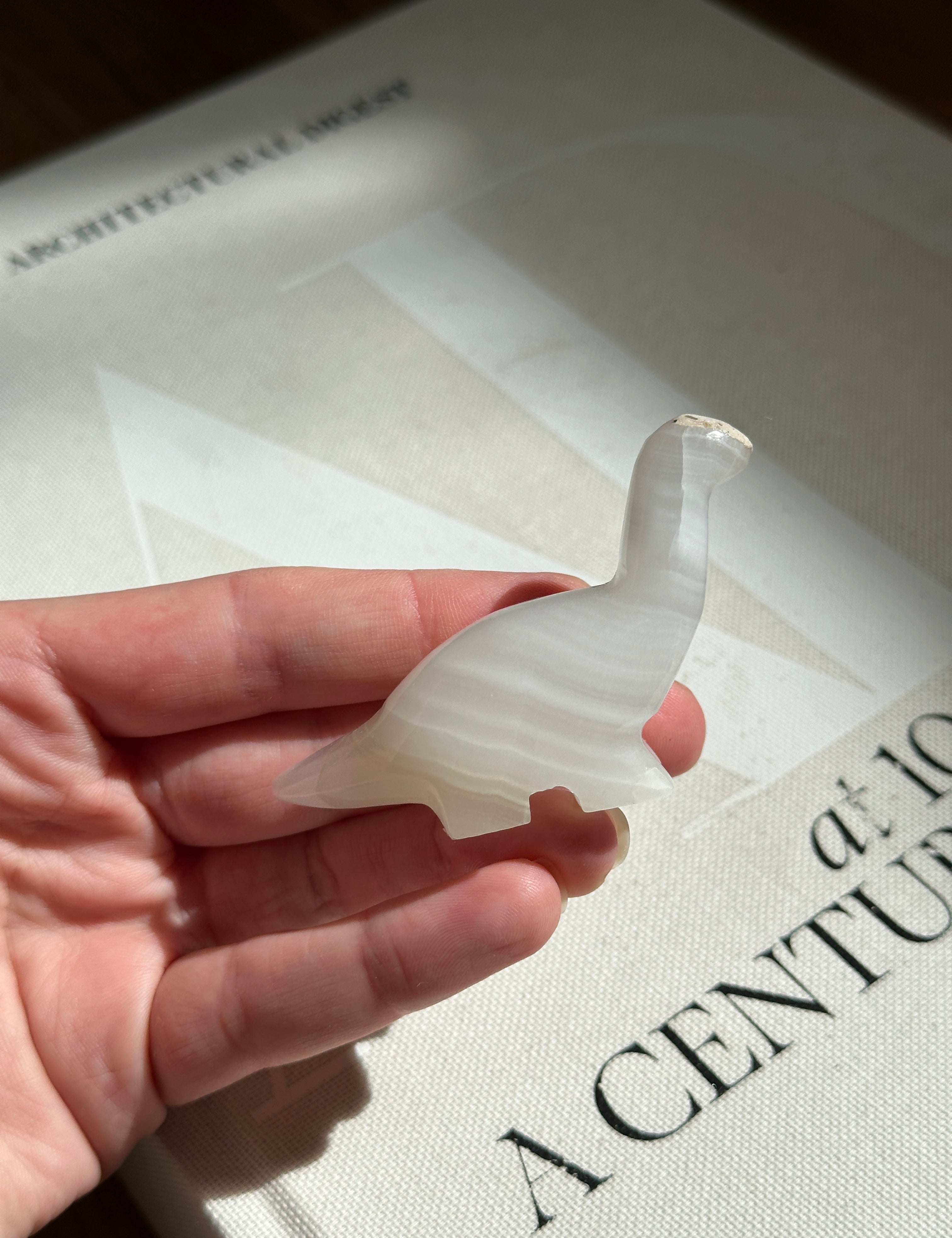 Apatosaurus Small Dinosaur White Onyx