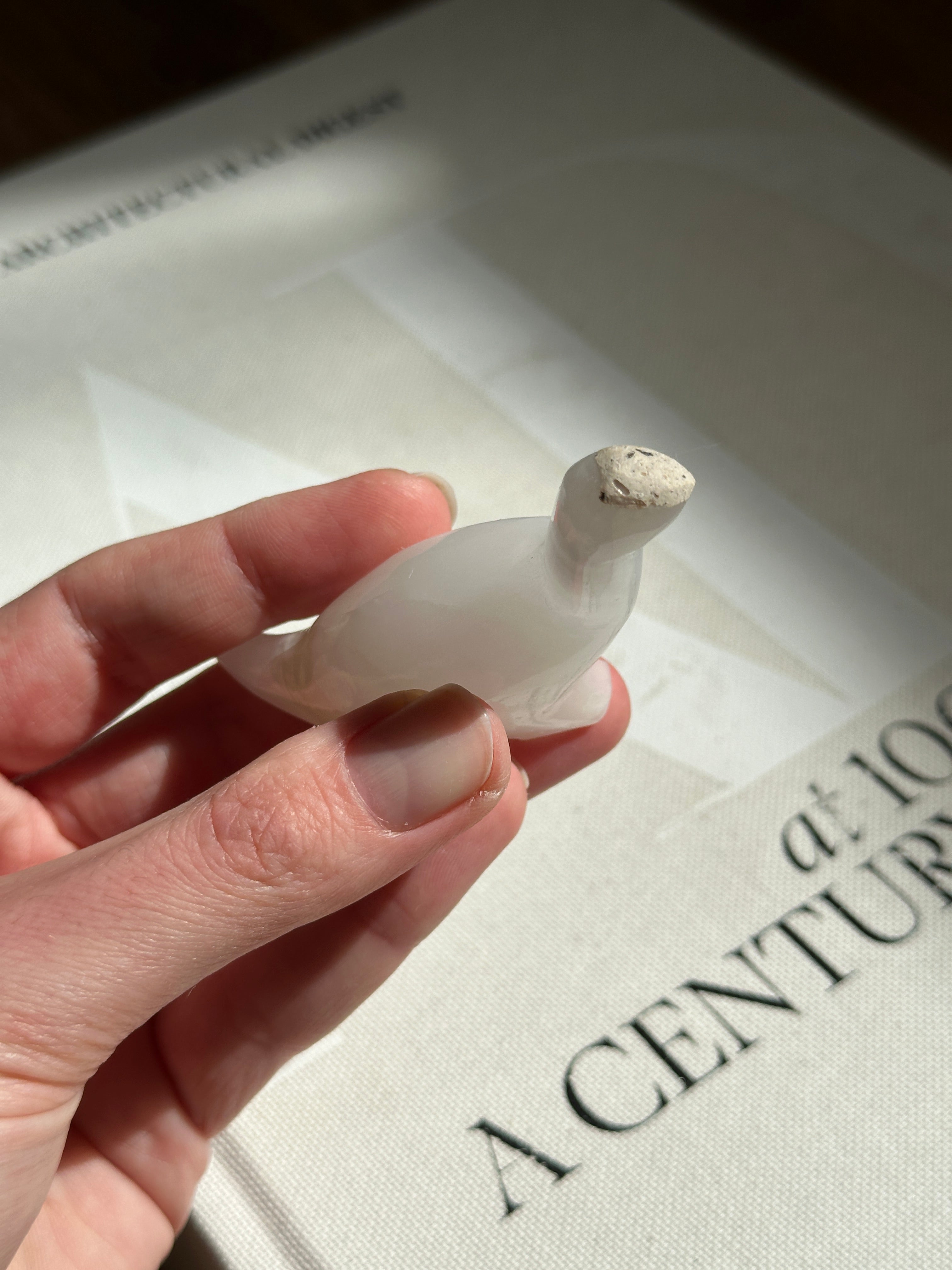 Apatosaurus Small Dinosaur White Onyx