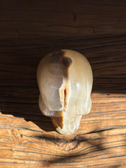 Amber Onyx Skull