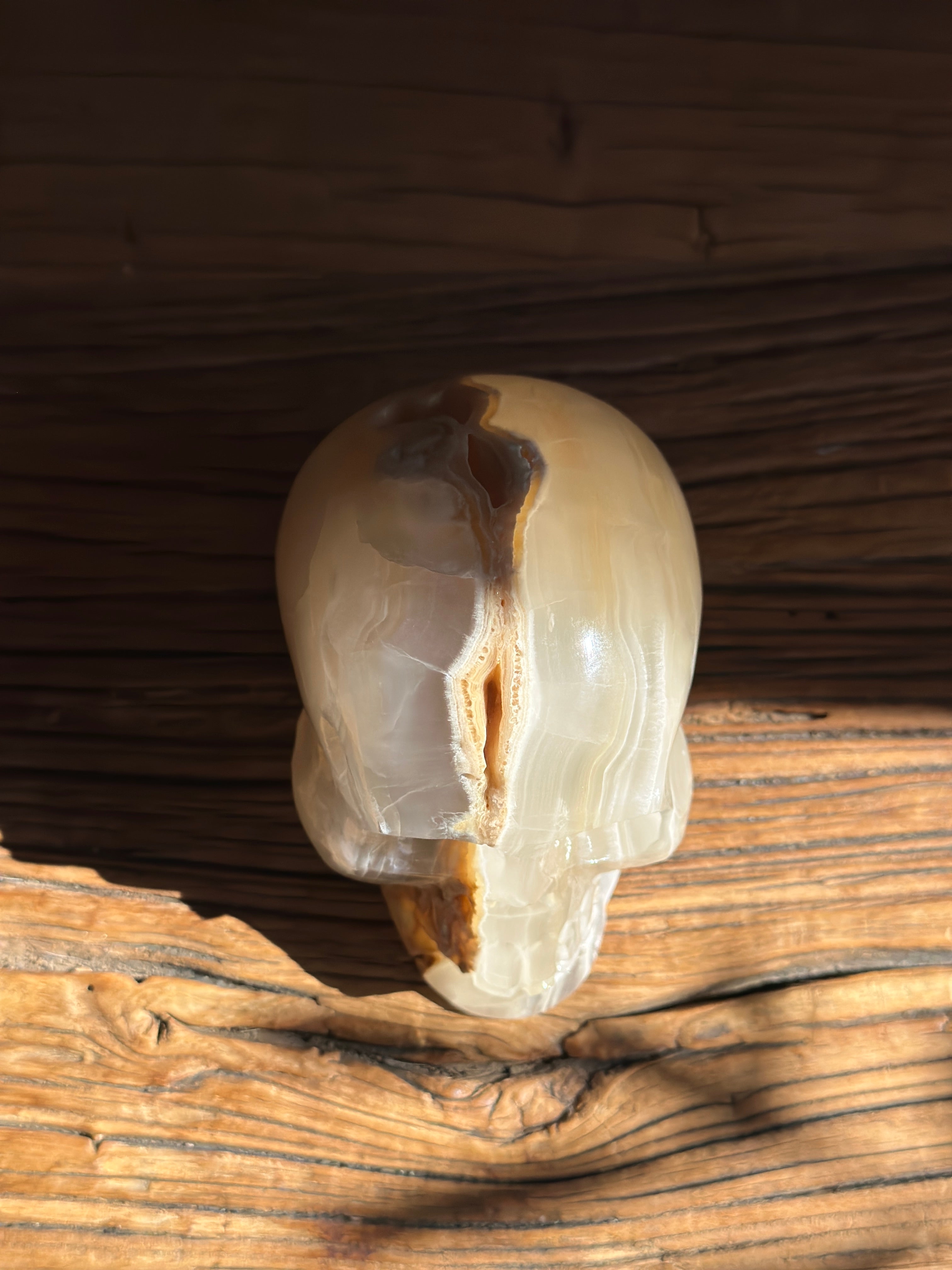 Amber Onyx Skull