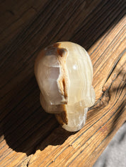 Amber Onyx Skull
