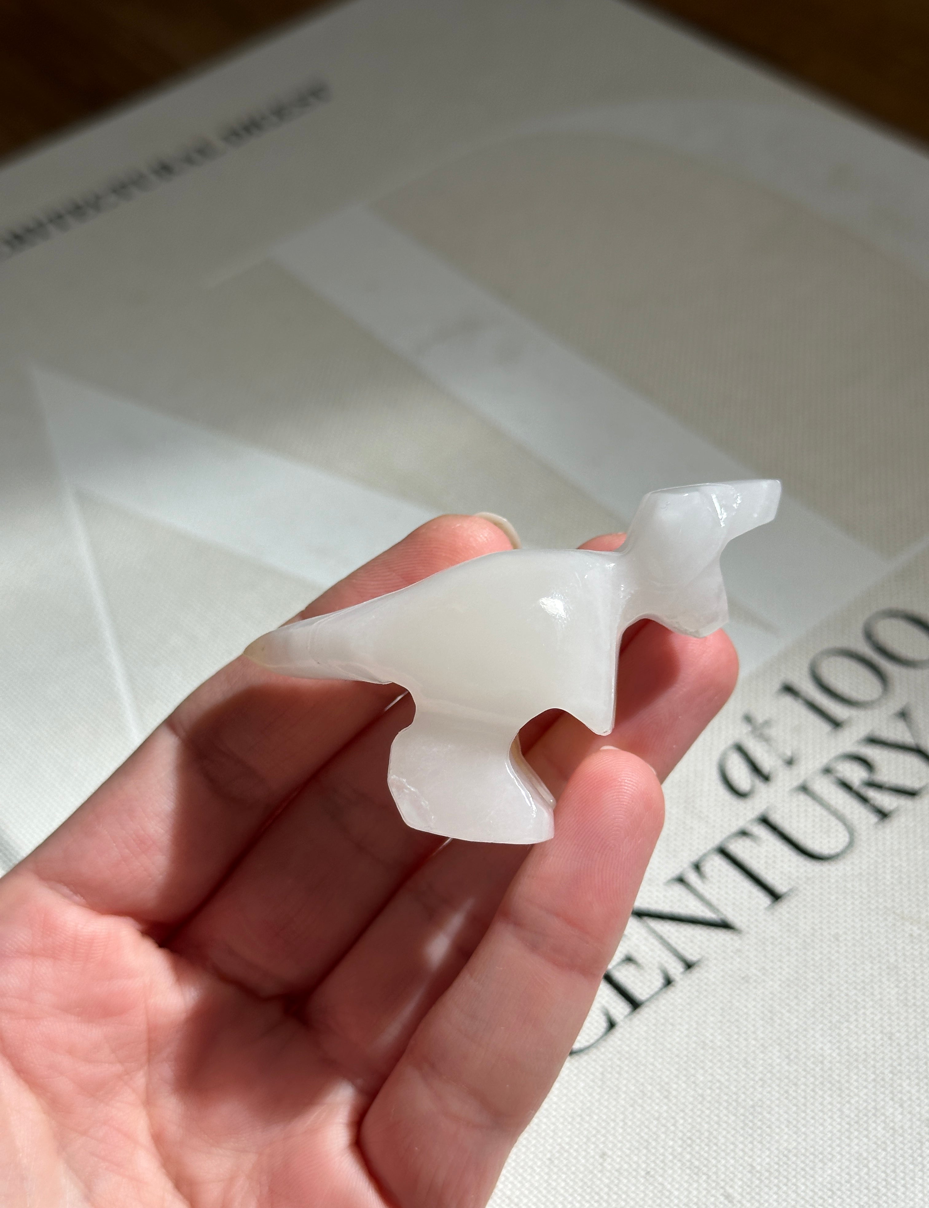 Tyrannosaurus Rex Small Dinosaur White Onyx