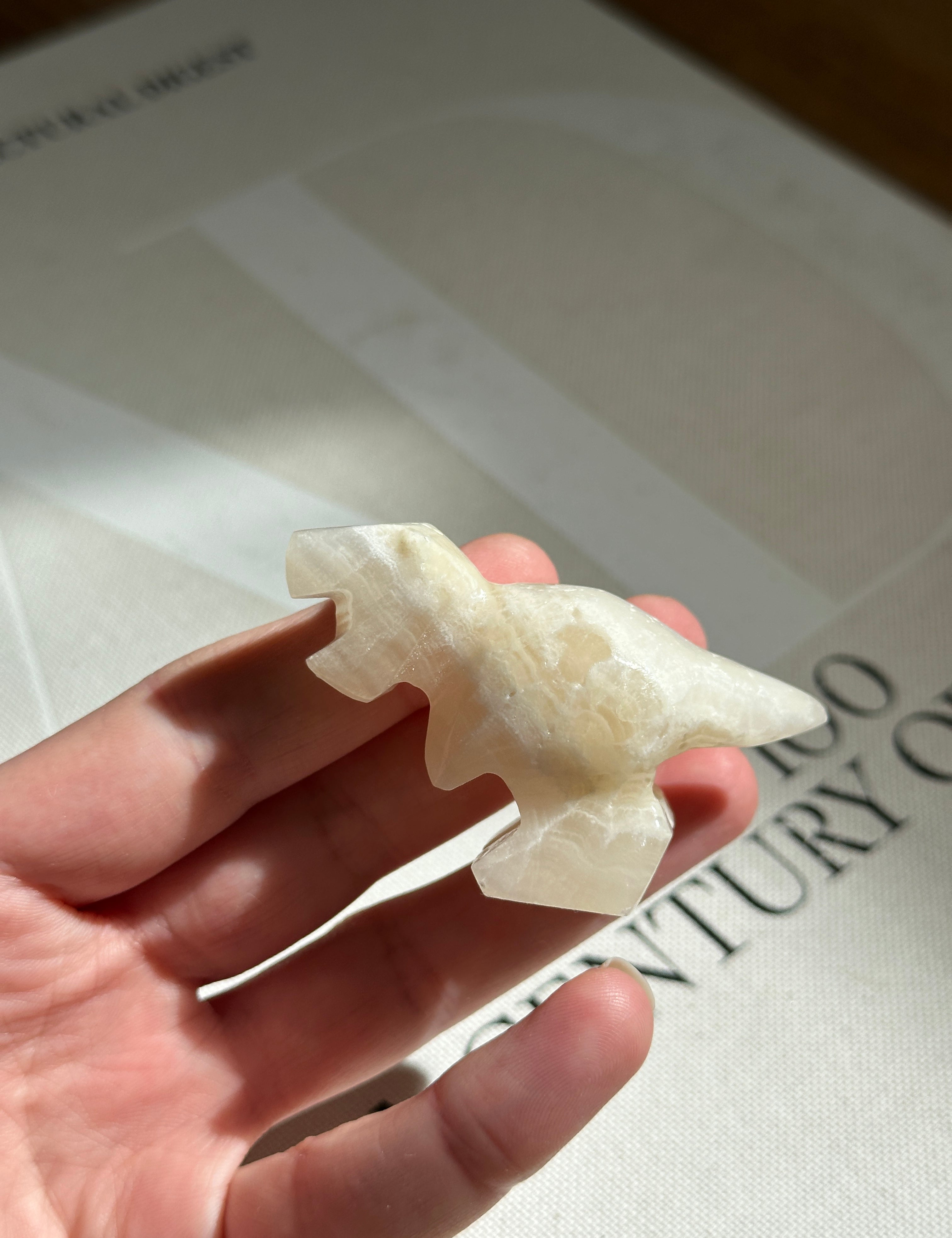 Tyrannosaurus Rex Small Dinosaur White Onyx
