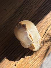 Amber Onyx Skull