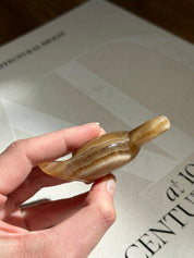Apatosaurus Small Dinosaur Amber