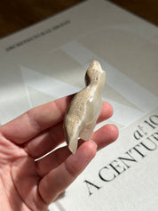 Tyrannosaurus rex Small Dinosaur Amber Onyx