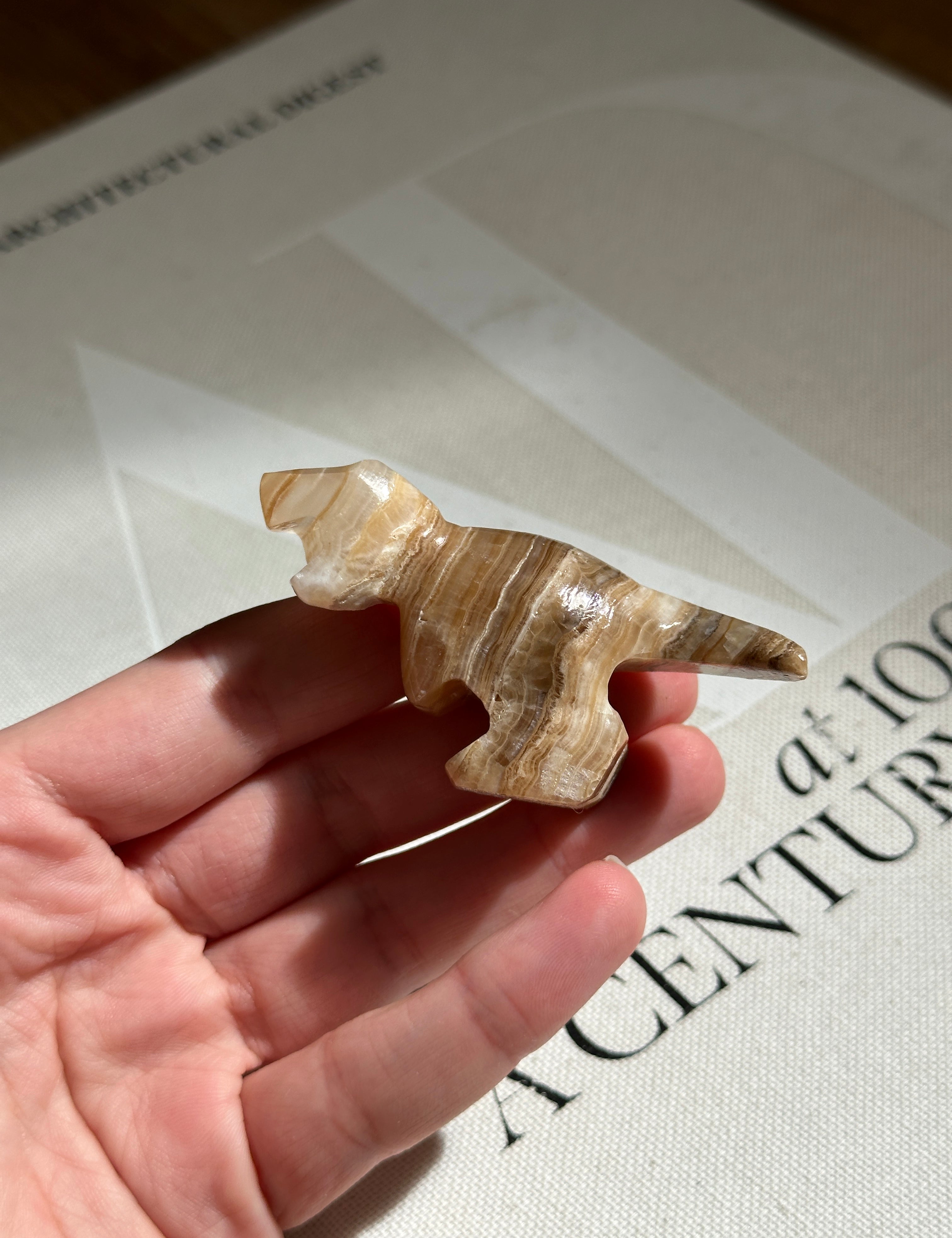 Tyrannosaurus rex Small Dinosaur Amber Onyx