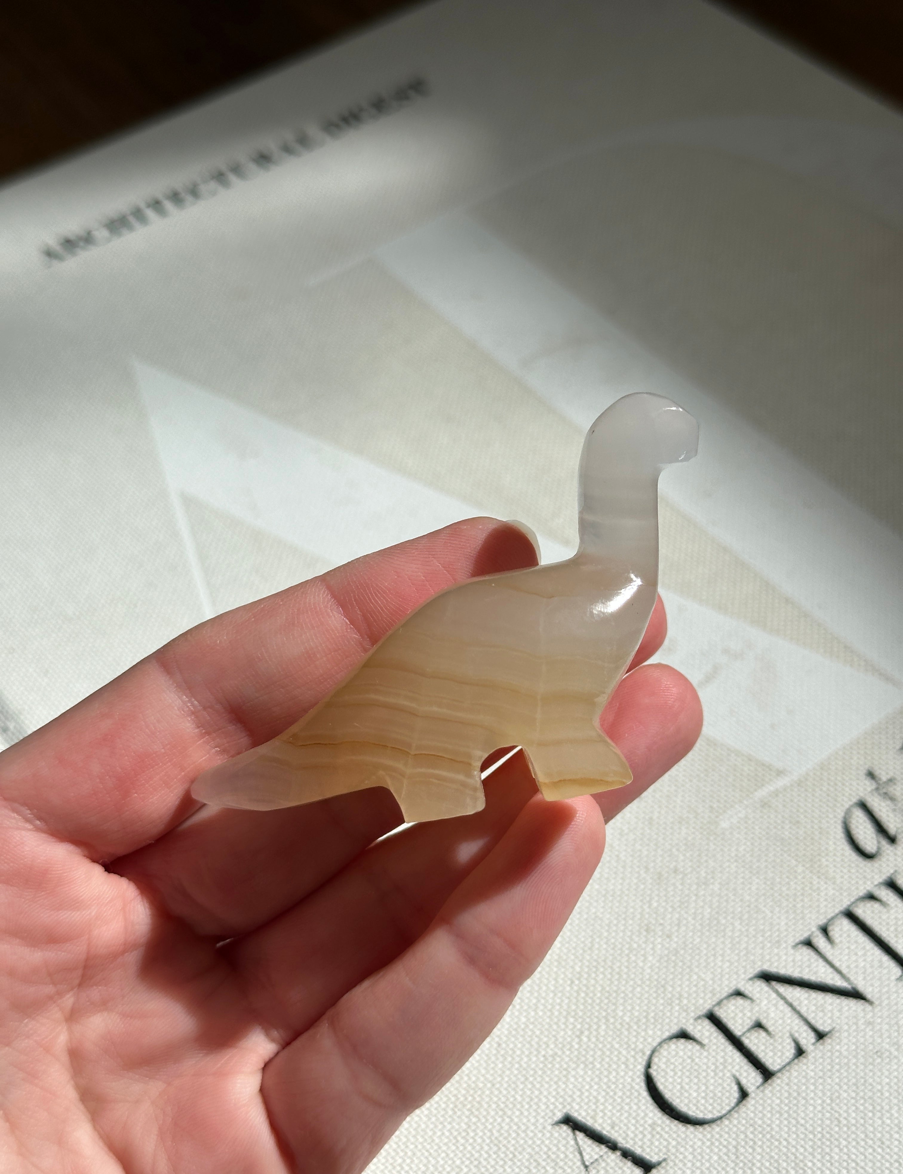 Apatosaurus Small Dinosaur Amber
