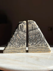 Zebra Bookends