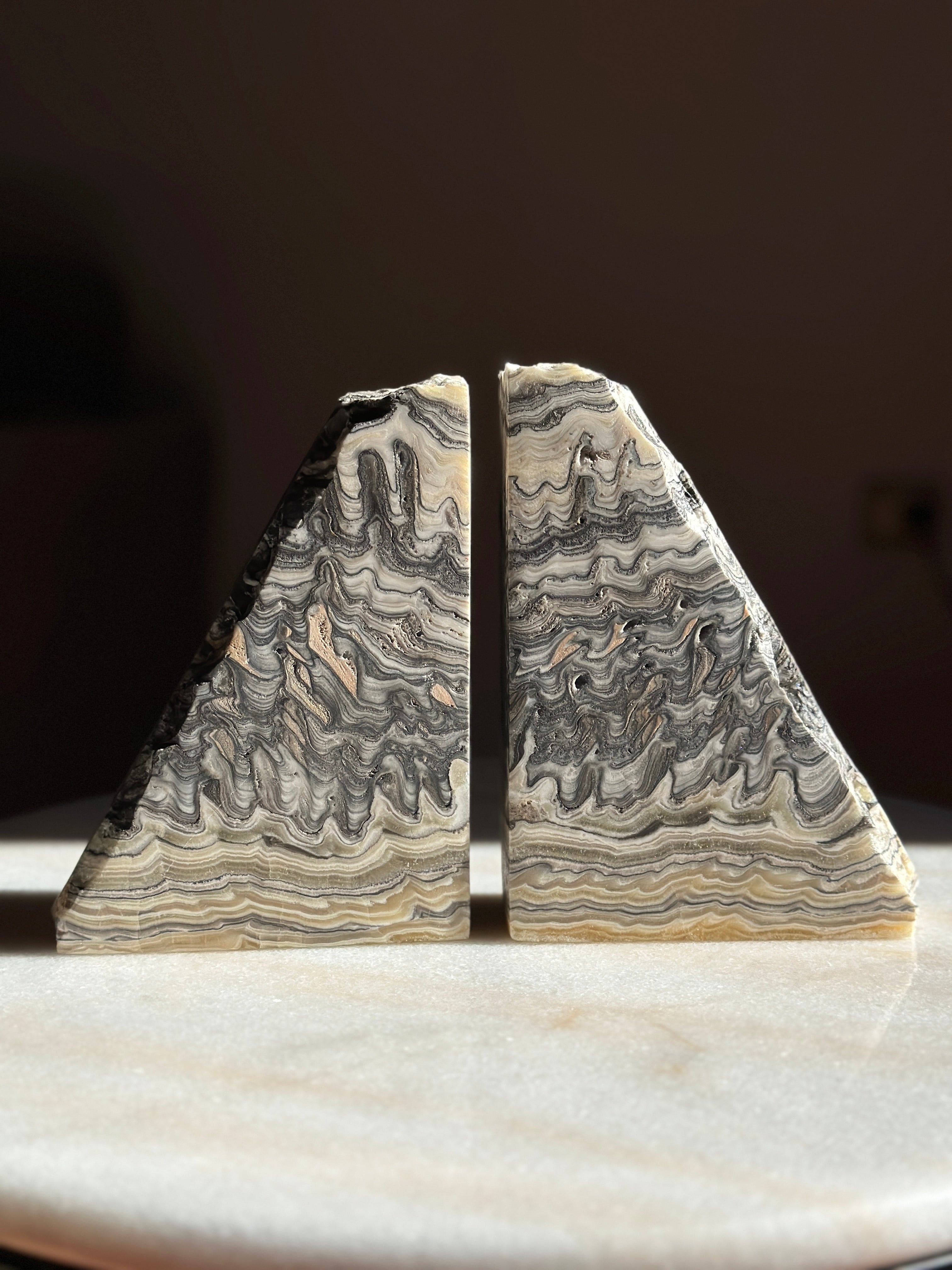 Zebra Bookends