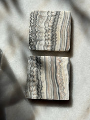 Zebra Coasters - Set of 2