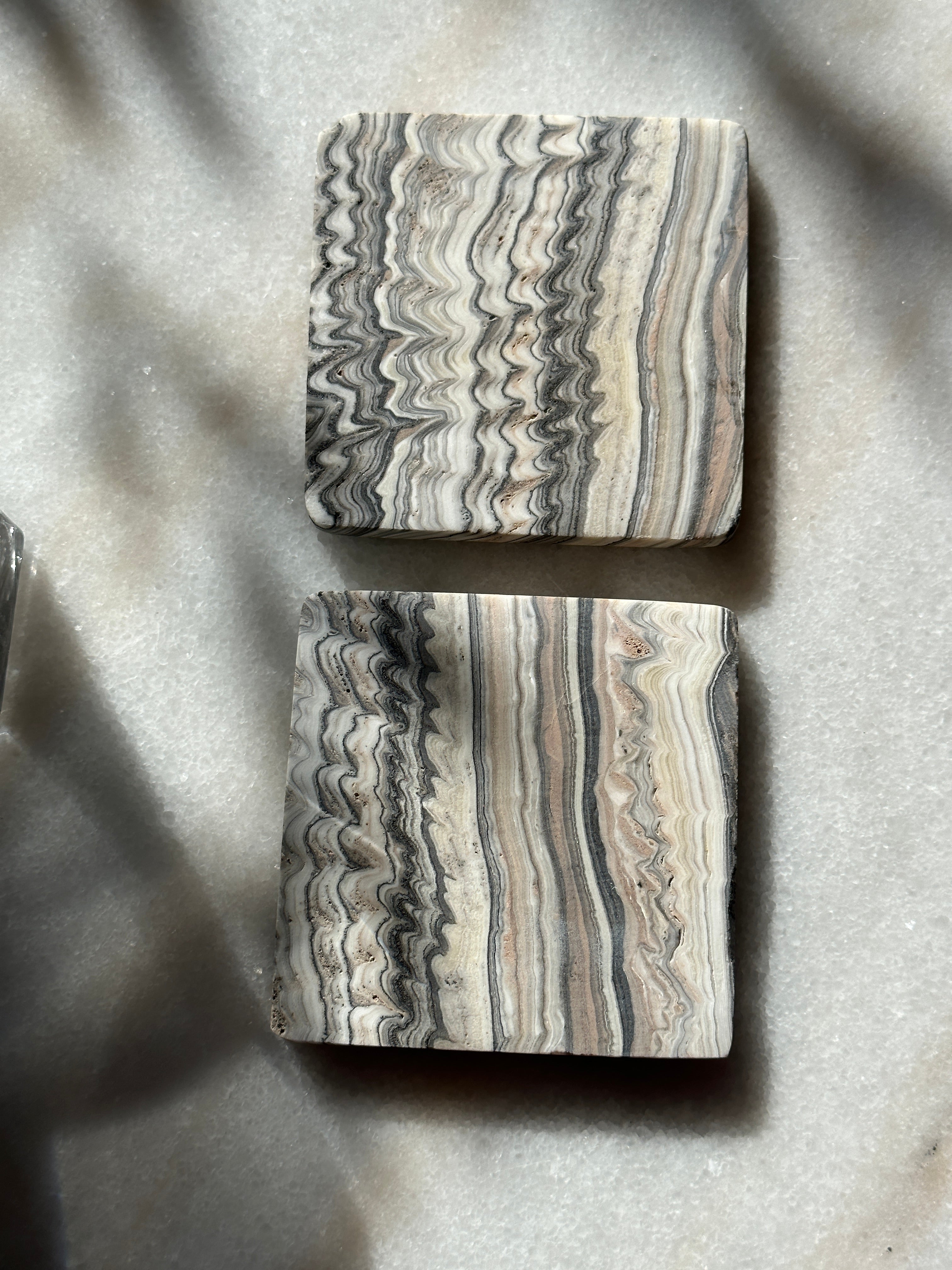 Zebra Coasters - Set of 2