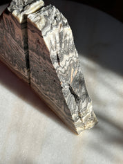 Zebra Bookends