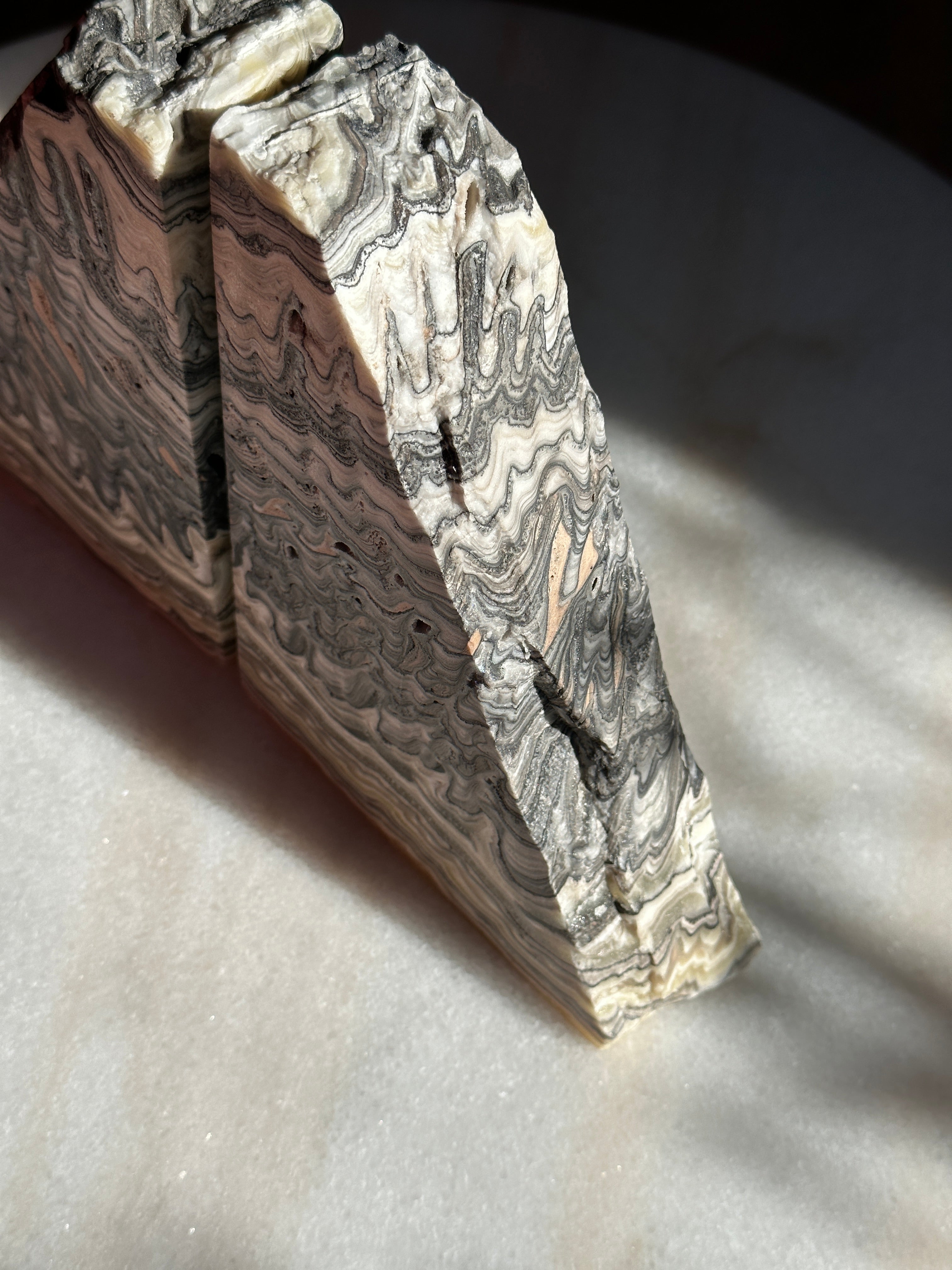 Zebra Bookends