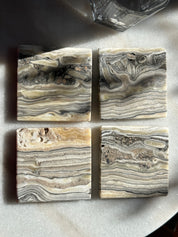 Zebra Coasters - Set of 3