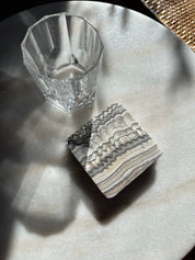 Zebra Coasters - Set of 2