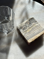 Zebra Coasters - Set of 3
