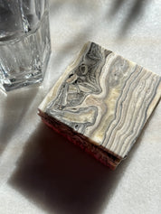 Zebra Coasters - Set of 3