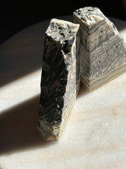 Zebra Bookends
