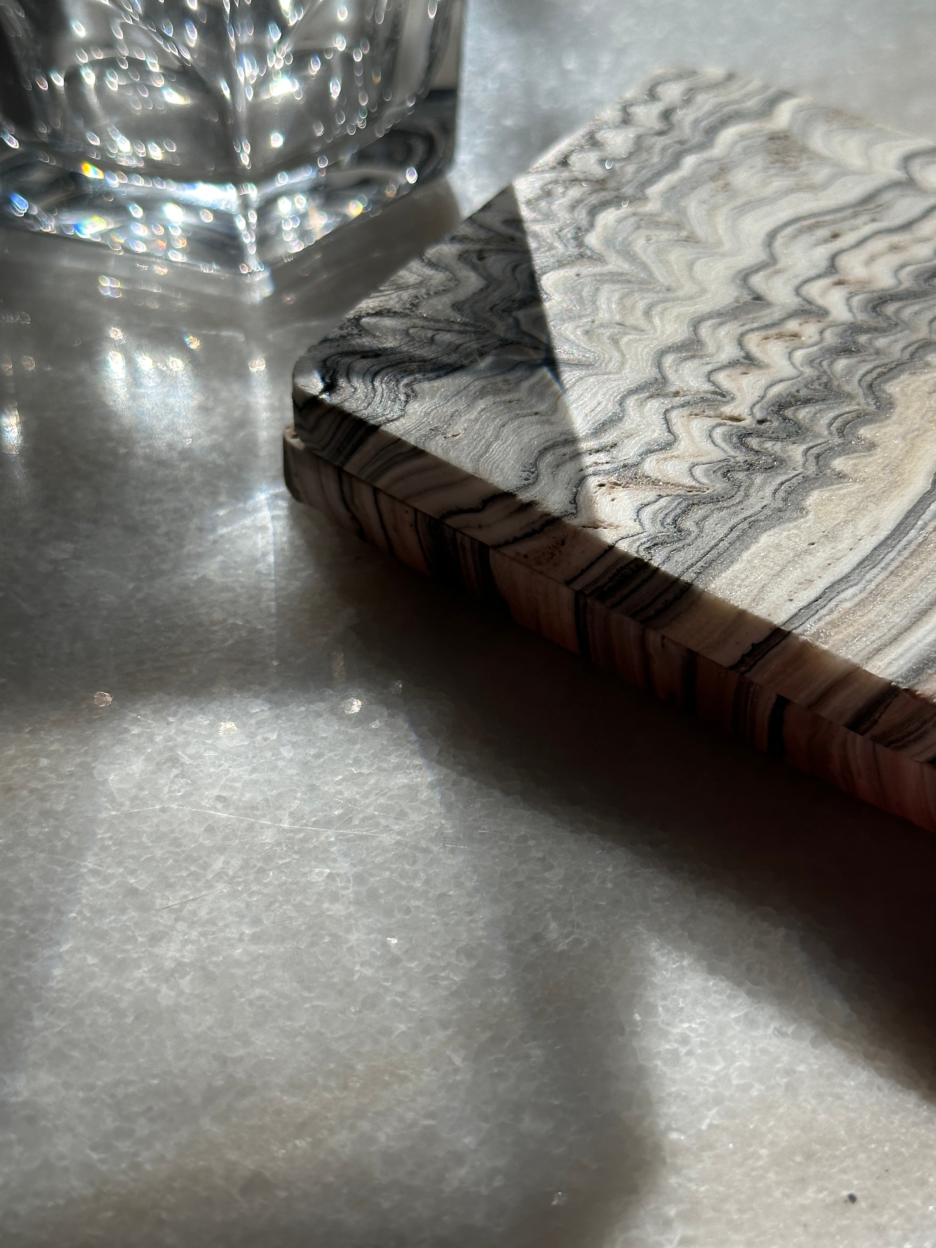 Zebra Coasters - Set of 2