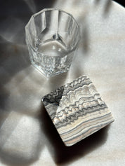 Zebra Coasters - Set of 2