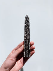 Zebra Calcite Obelisk