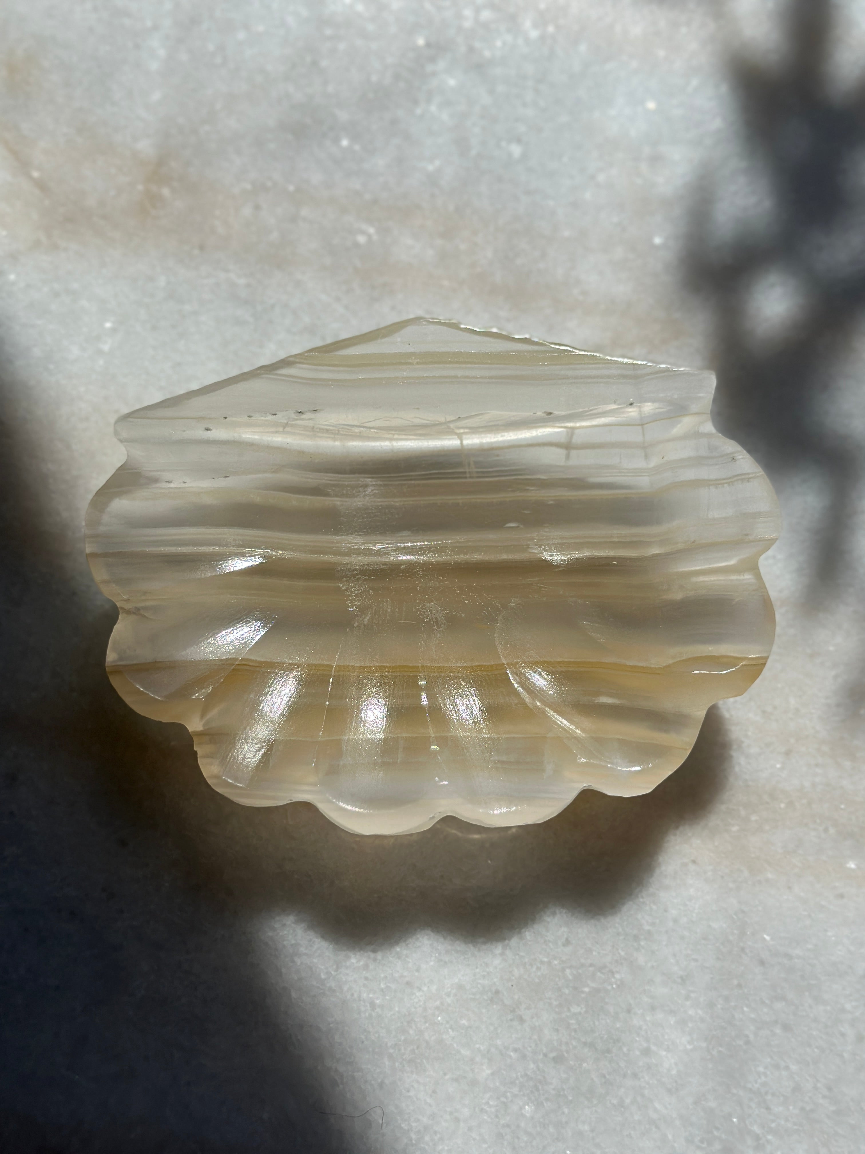 Onyx Shell Dish