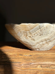 Amber & White Onyx Bowl Matte - Medium