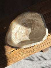 Amber & White Onyx Bowl Matte - Medium