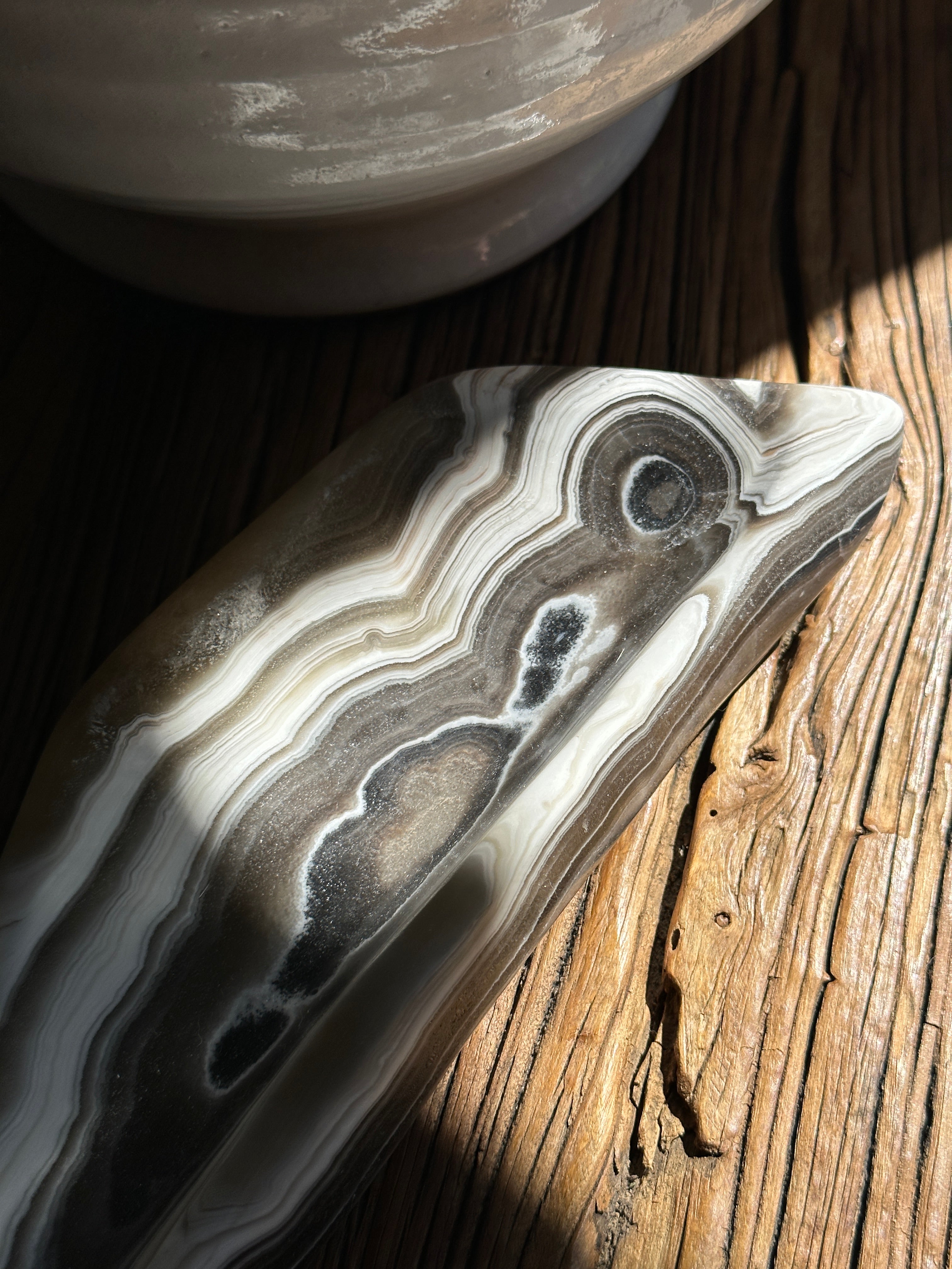 Zebra Catchall