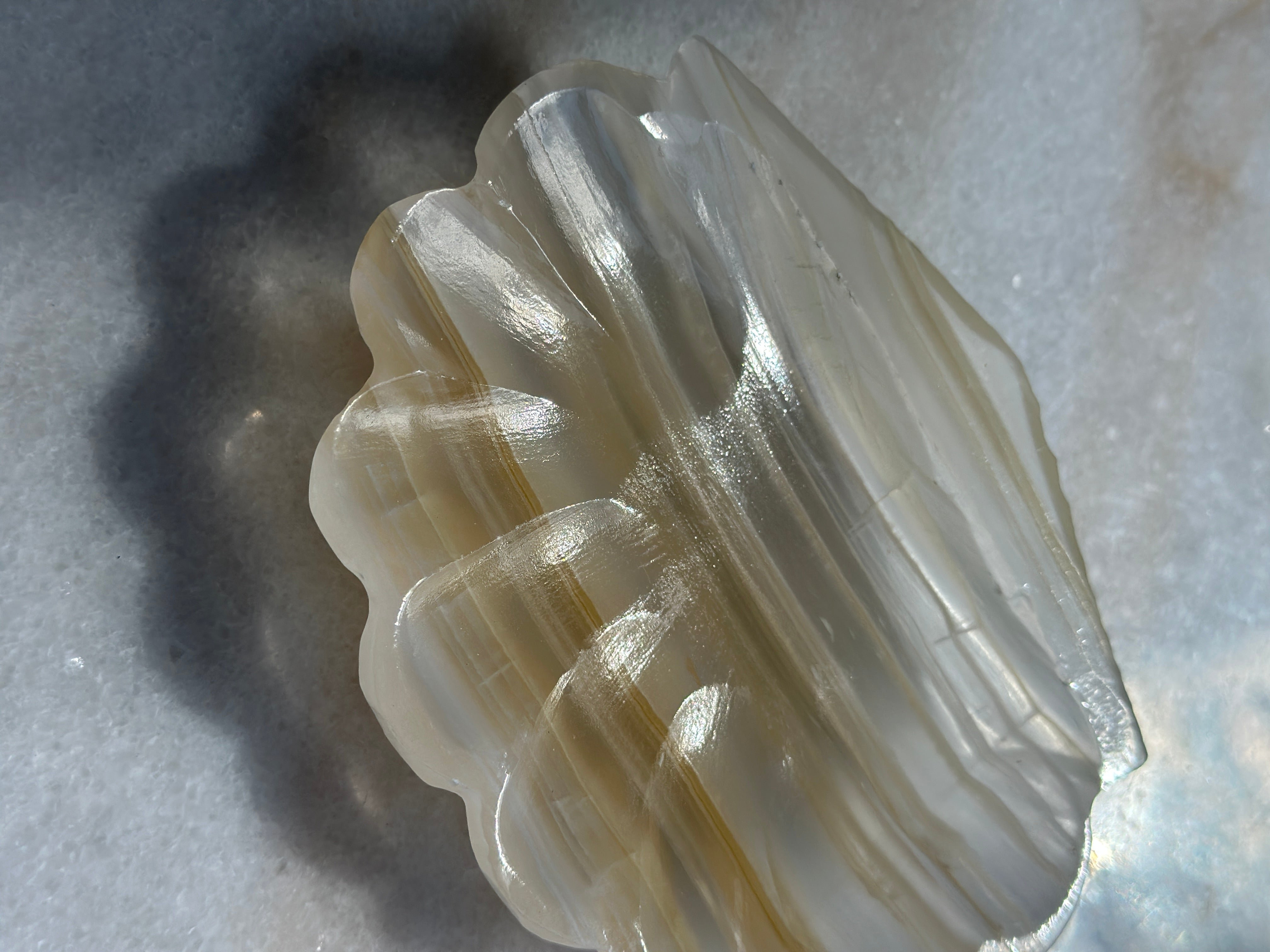 Onyx Shell Dish