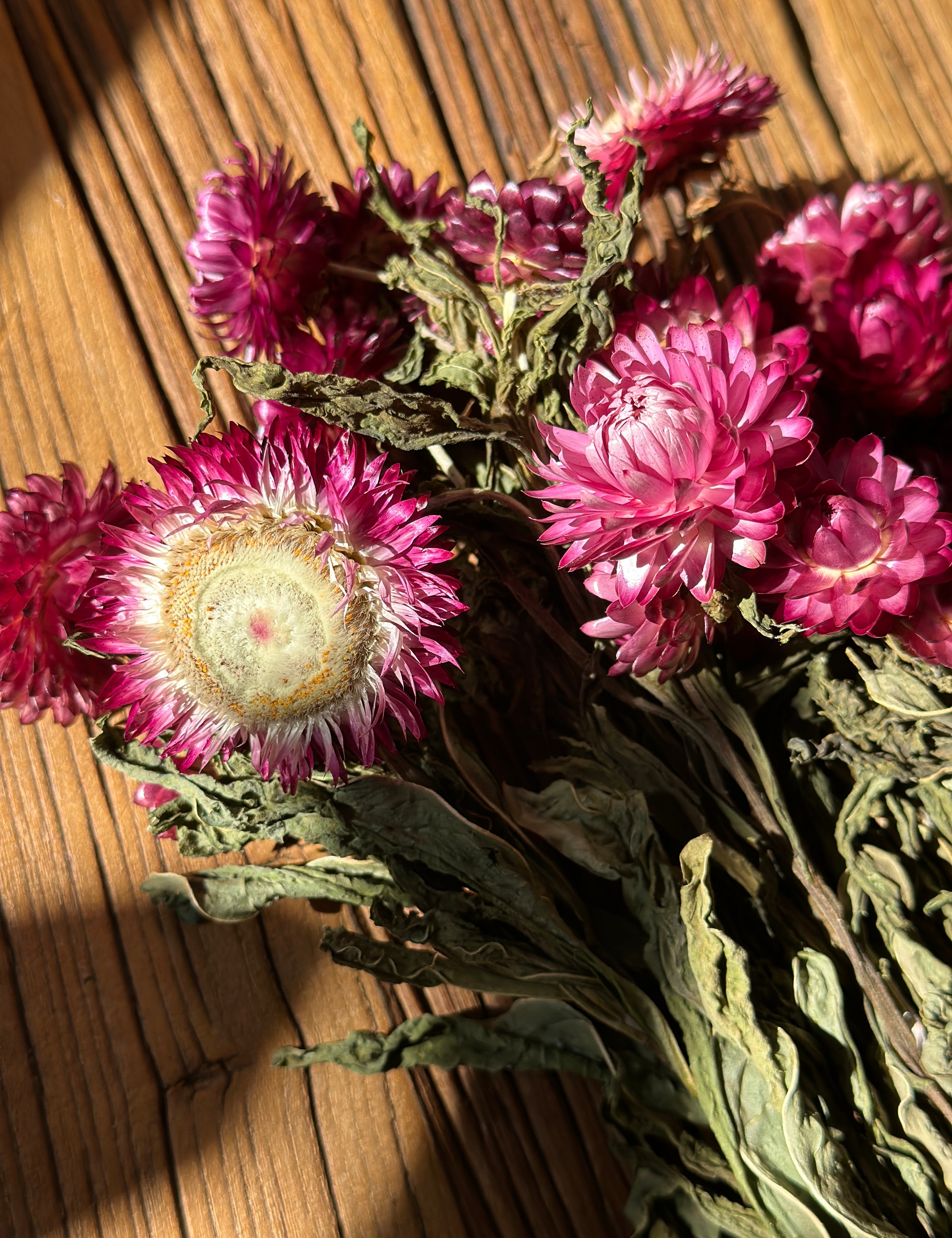 image_b3d73f9d-1072-4bbc-a90a-07ba80baa5cf.jpg