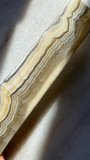 Zebra Incense Holder