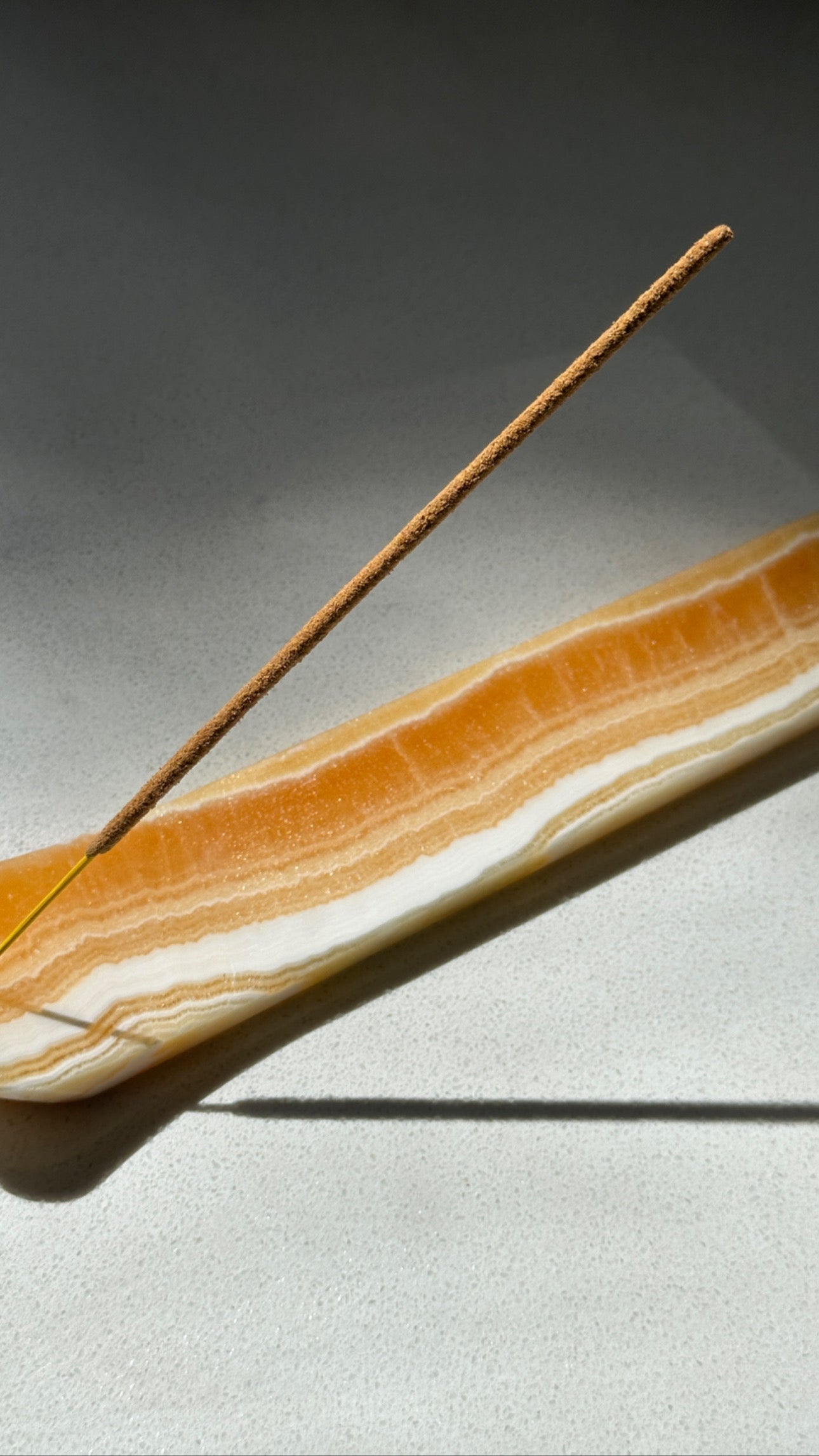 Zebra Incense Holder