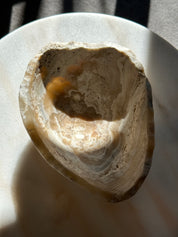 Amber & White Onyx Bowl Matte - Medium