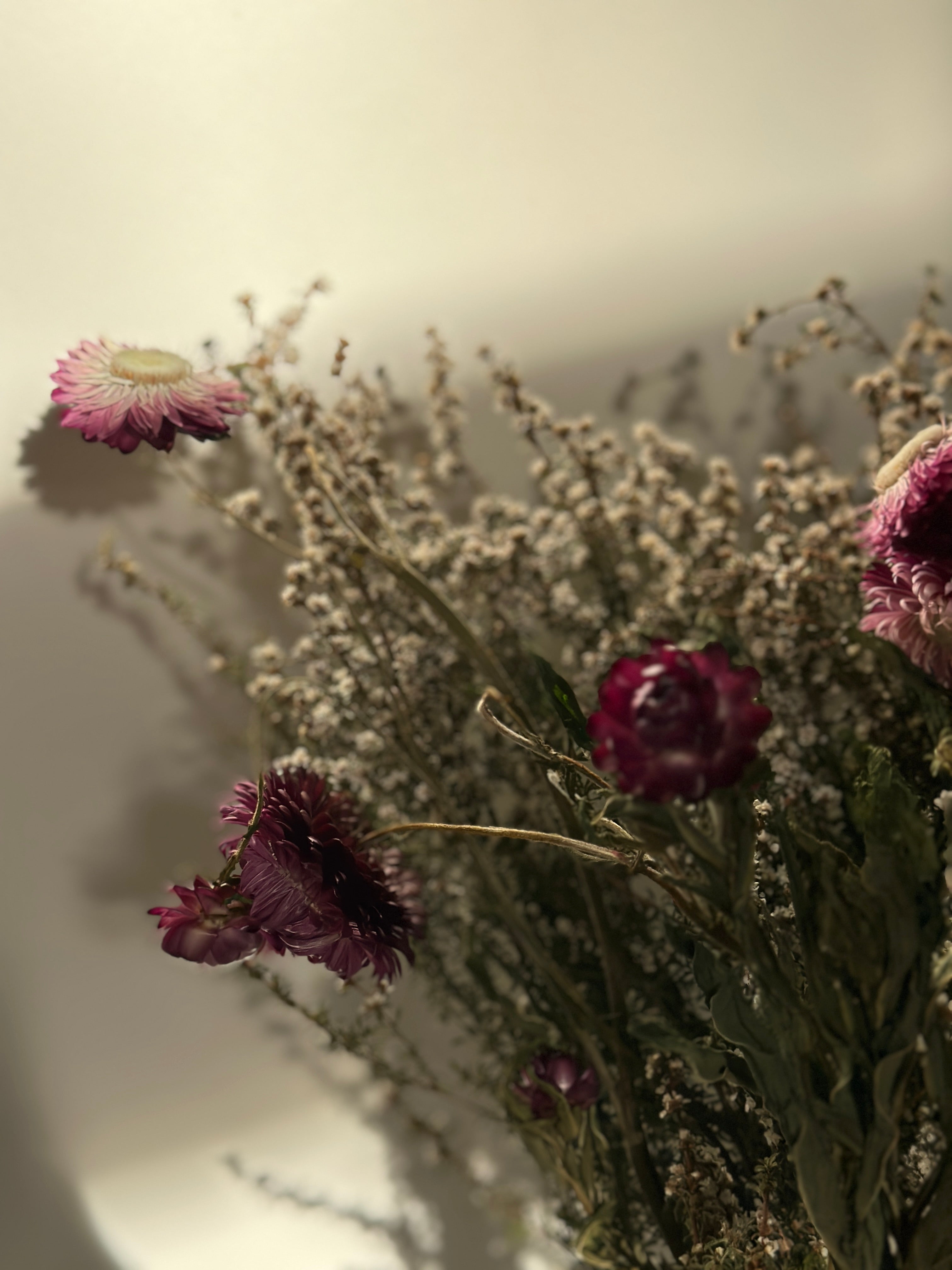 Dried Straw flower