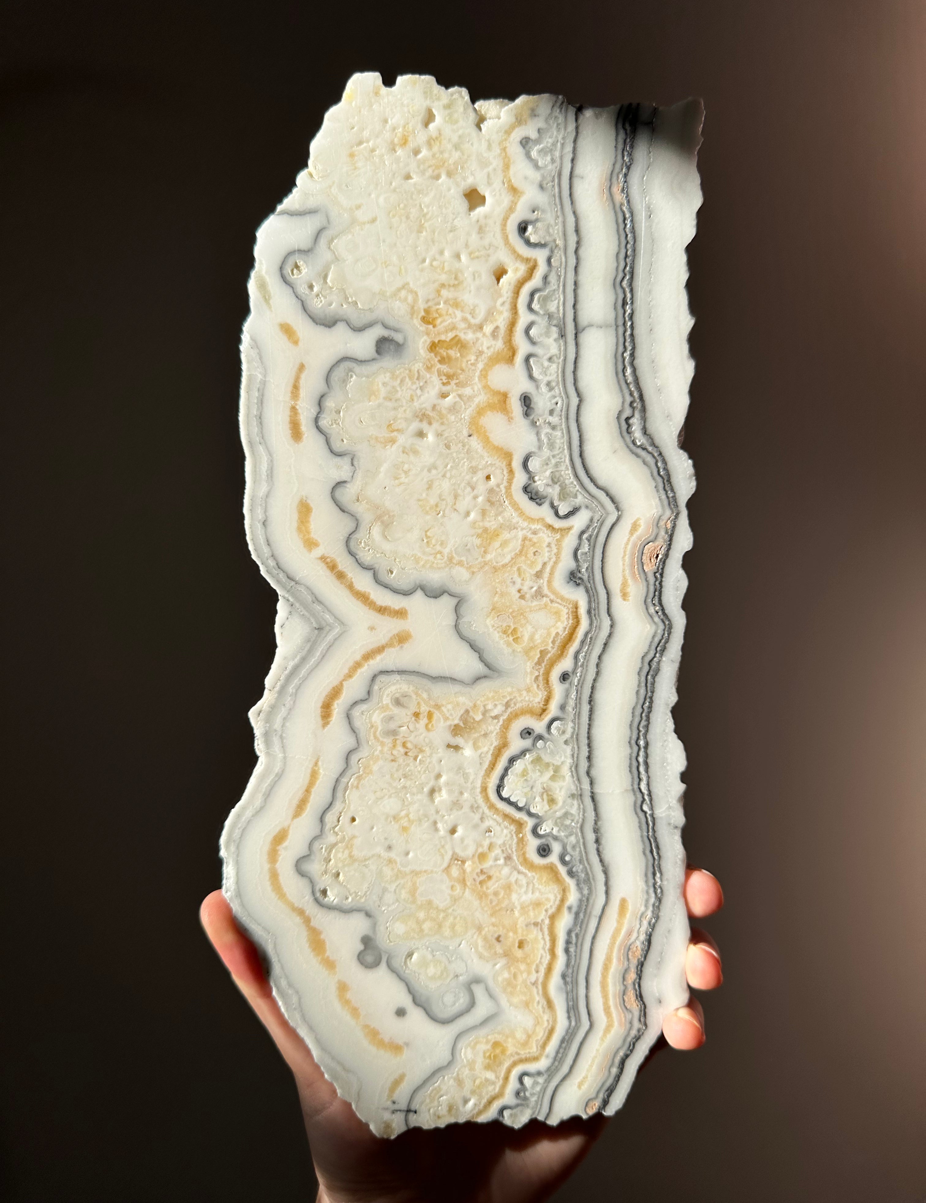 image_e4988c4e-fe41-45b1-bb70-dd1b7b976fd2.heic