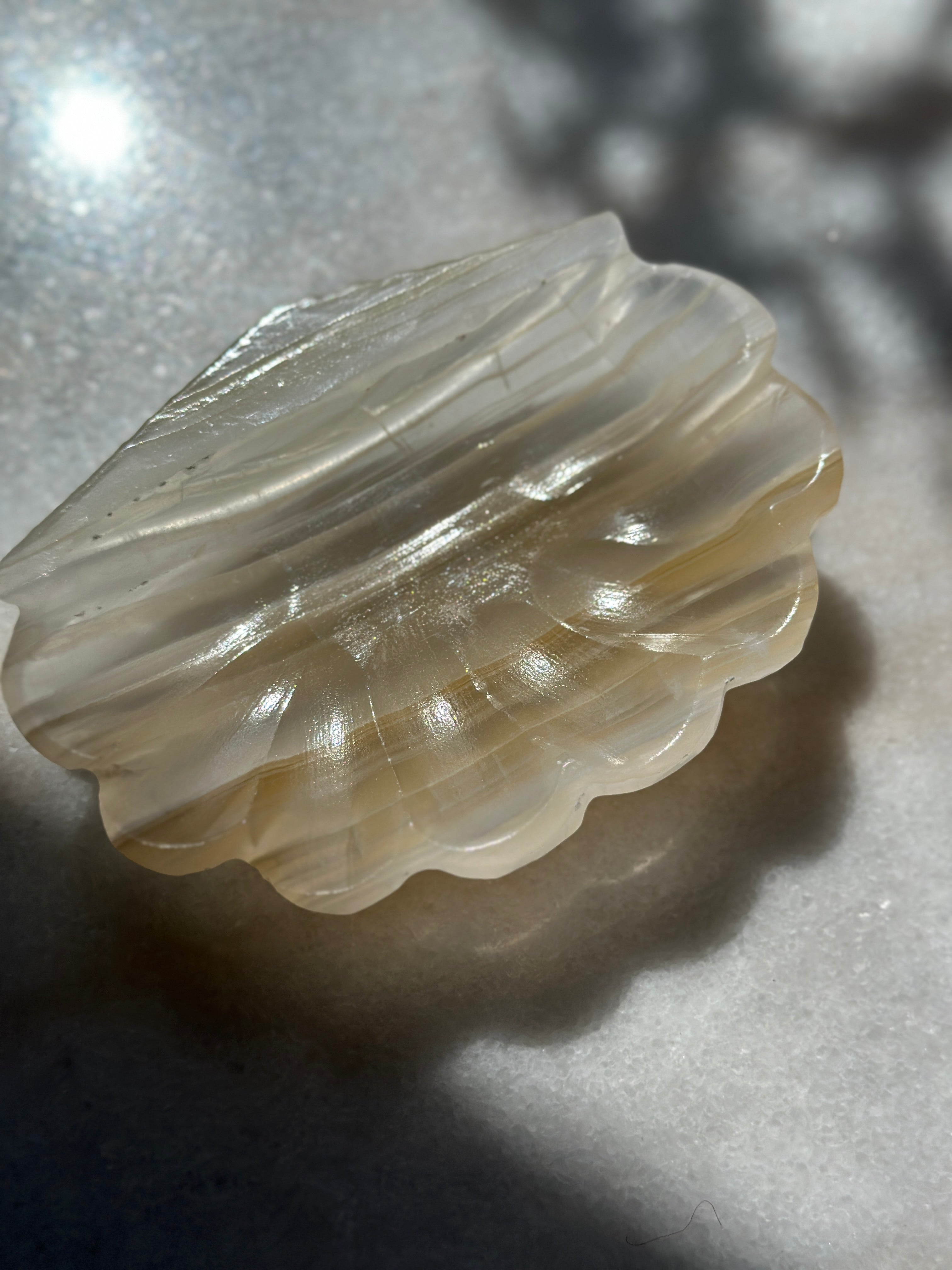 Onyx Shell Dish